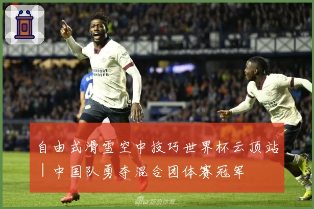 自由式滑雪空中技巧世界杯云顶站｜中国队勇夺混合团体赛冠军